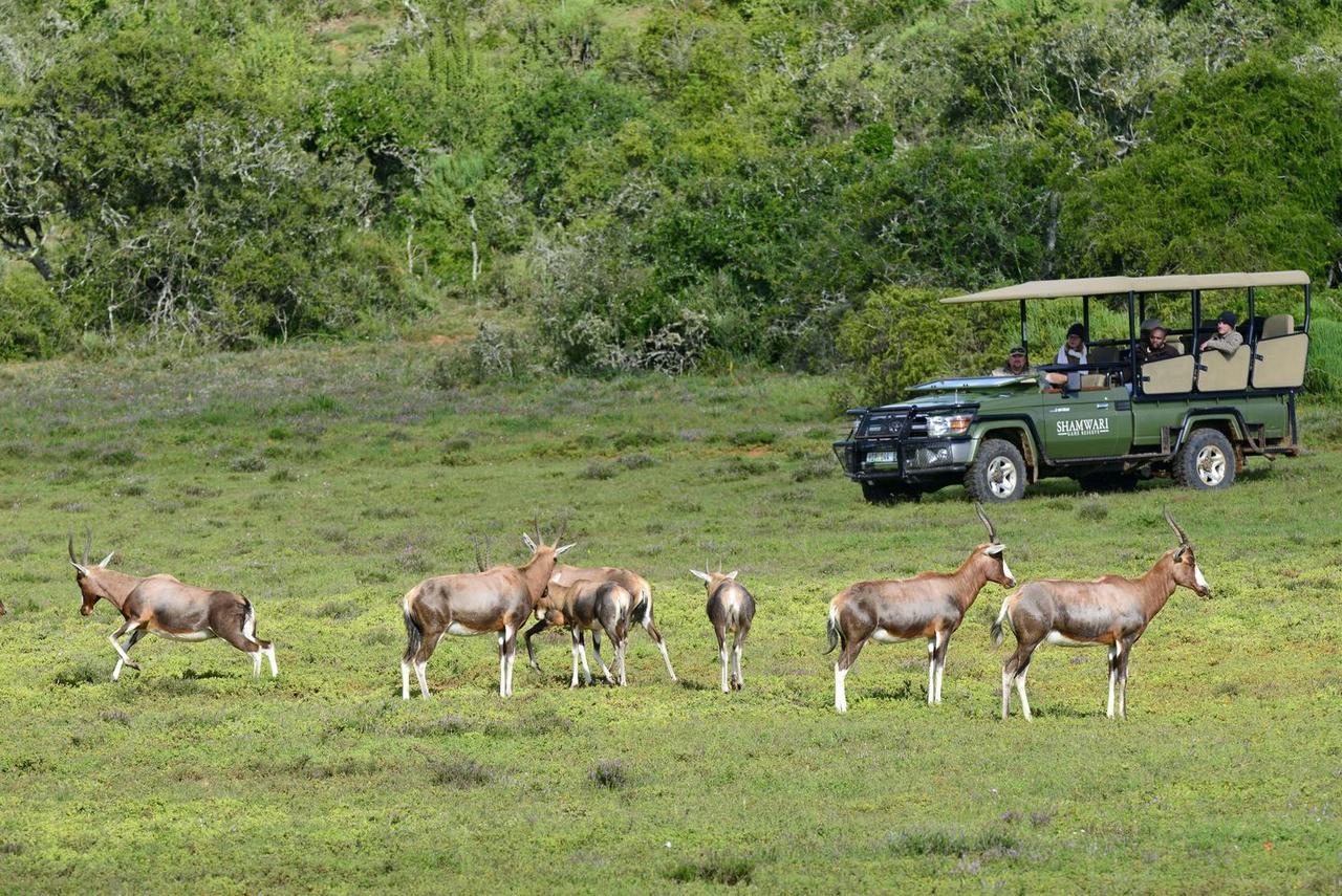הוילה פורט אליזבת' Shamwari Eagles Crag מראה חיצוני תמונה