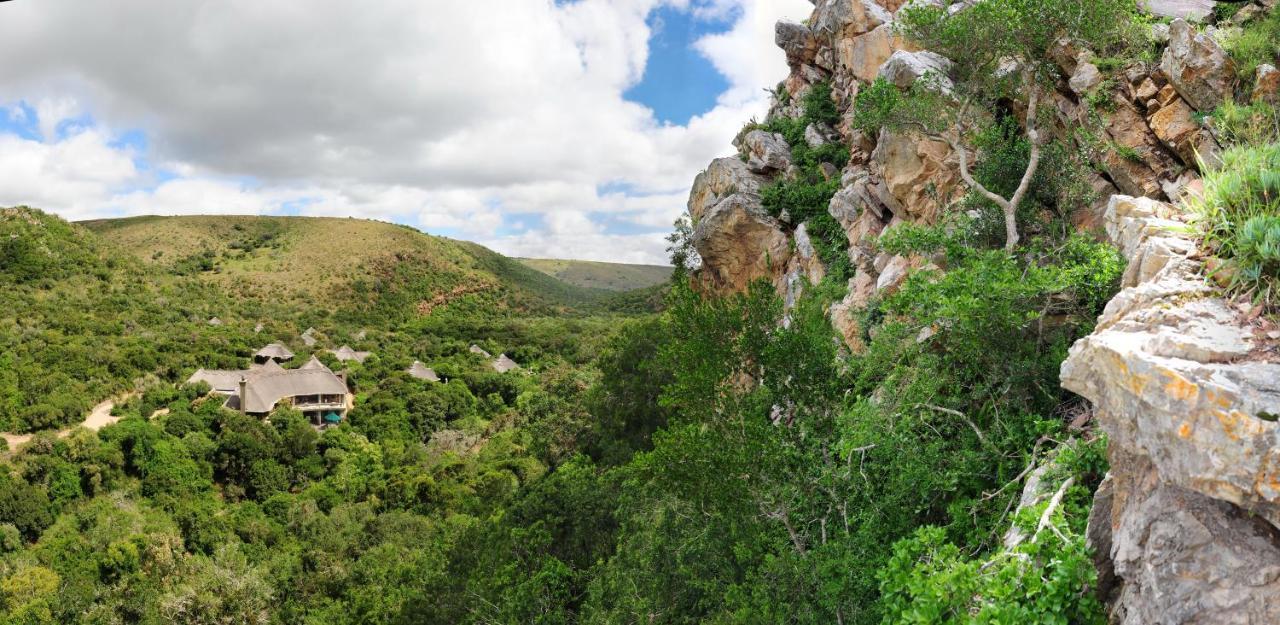 הוילה פורט אליזבת' Shamwari Eagles Crag מראה חיצוני תמונה
